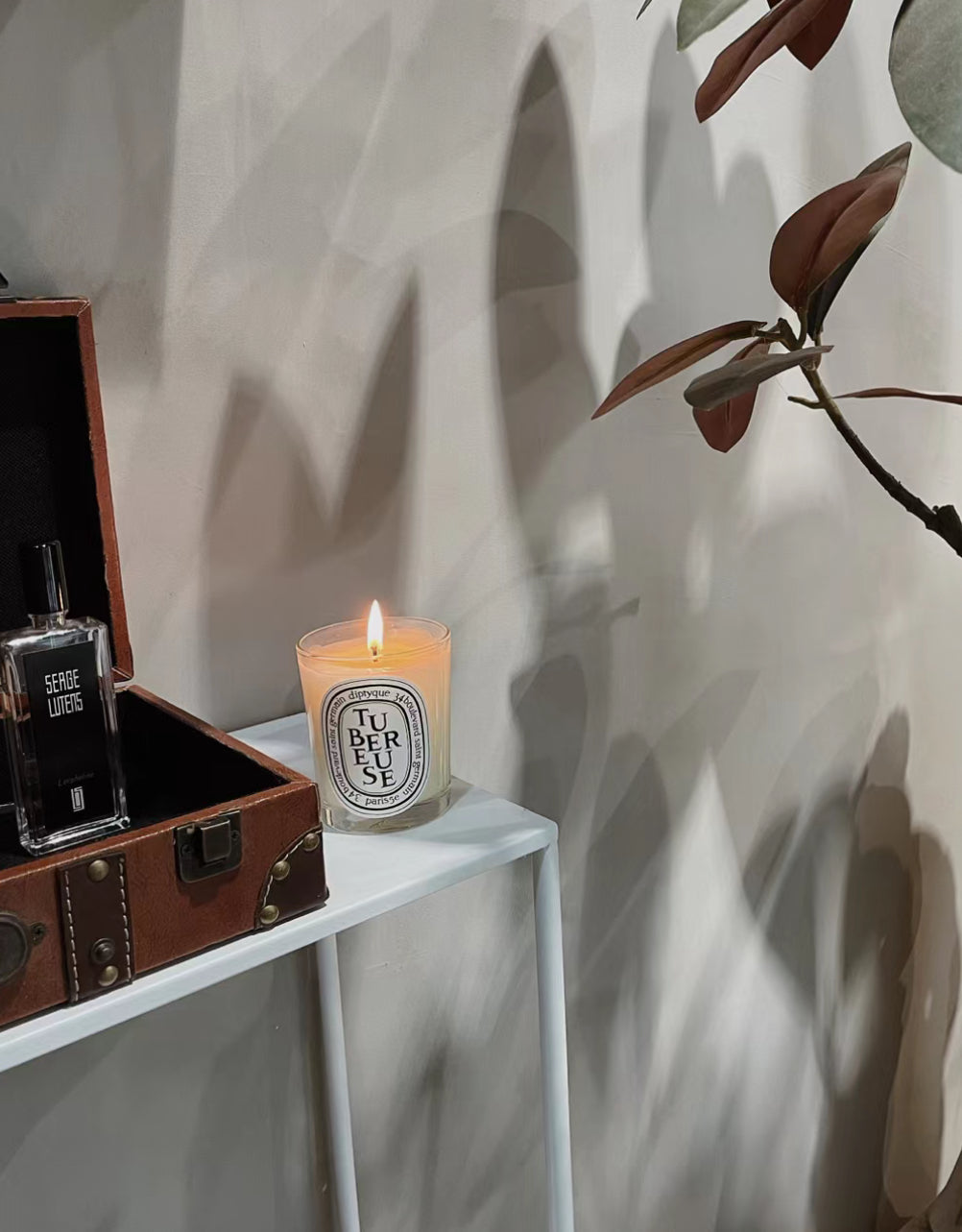 Diptyque Candles 🕯️