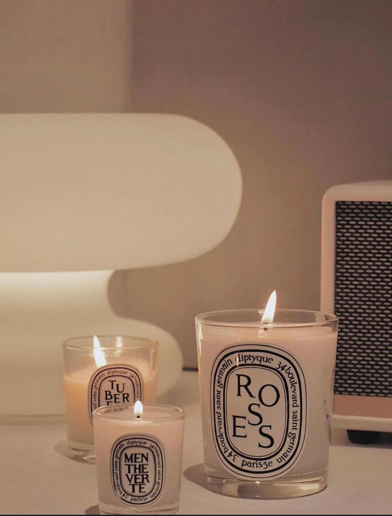 Diptyque Candles 🕯️