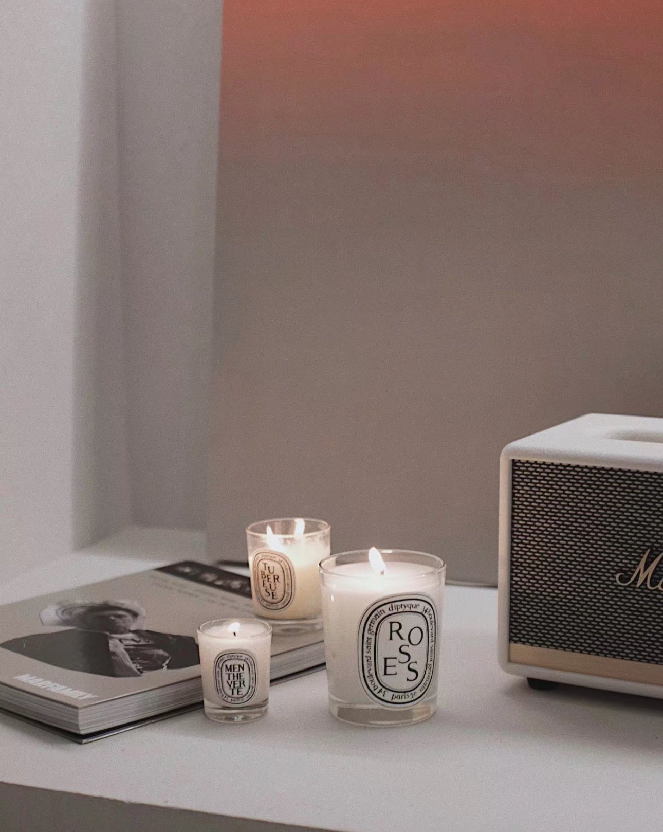 Diptyque Candles 🕯️