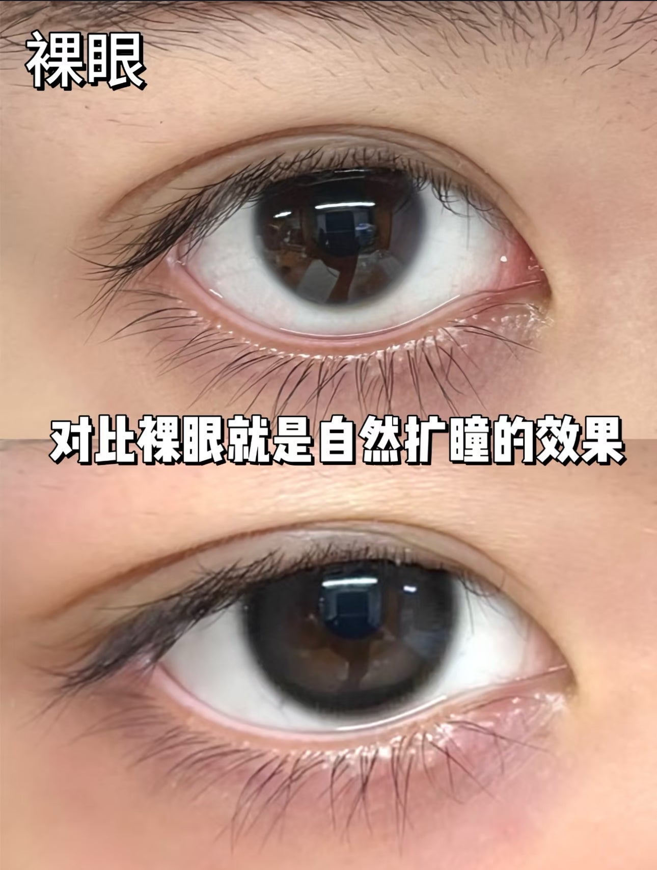 MonthlyLens 黑奶油 *Black 14.2mm