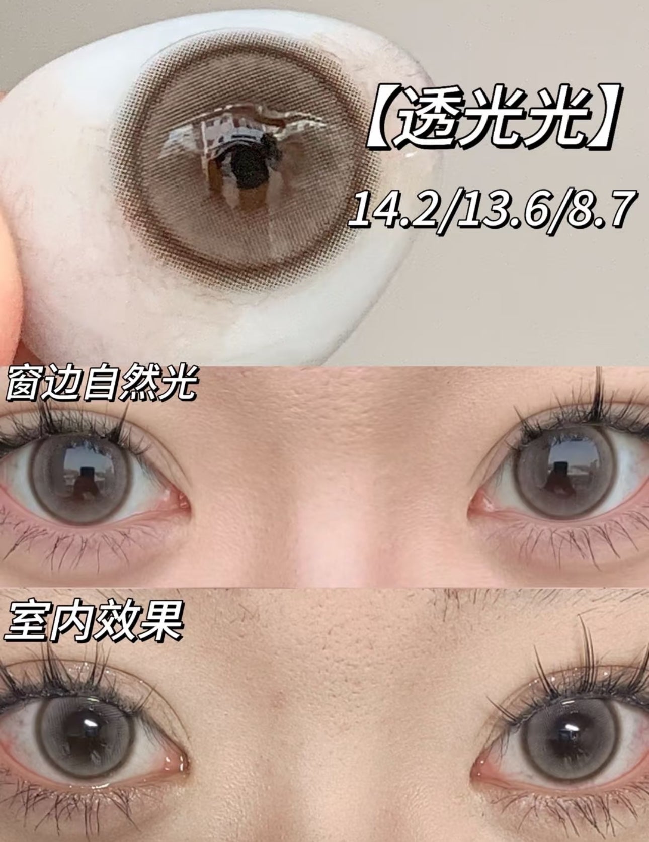 Monthly Lens • 透光光 *Ash Brown