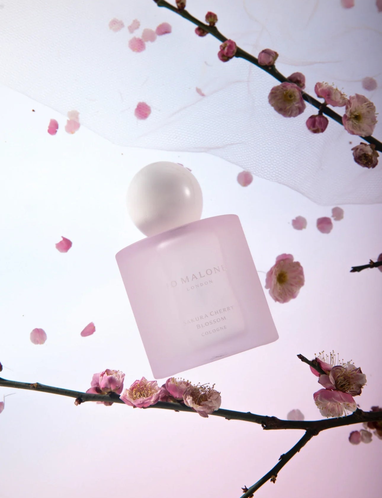 Jomalone Sakura Cherry Blossom Cologne Limited Edition 100ml