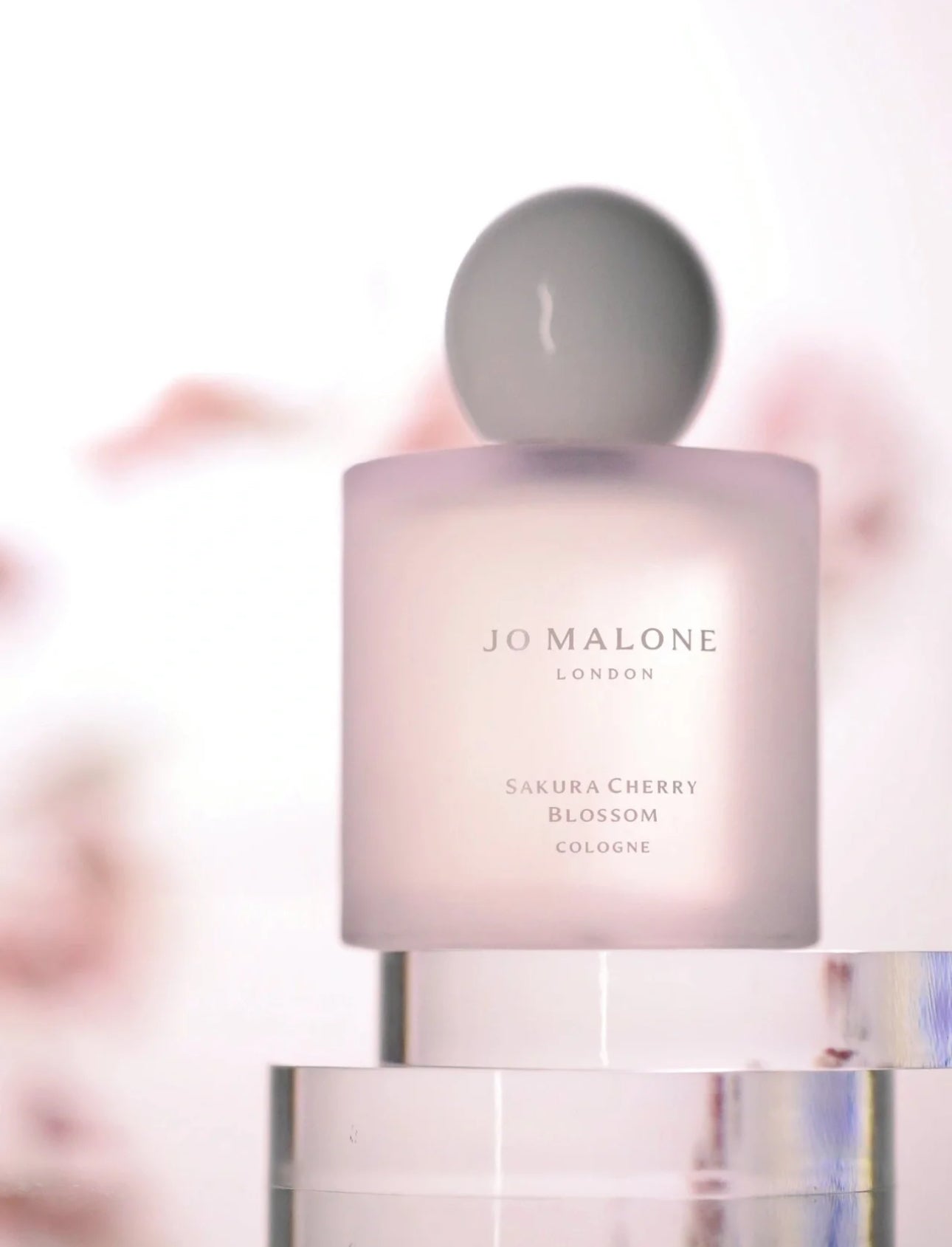 Jomalone Sakura Cherry Blossom Cologne Limited Edition 100ml