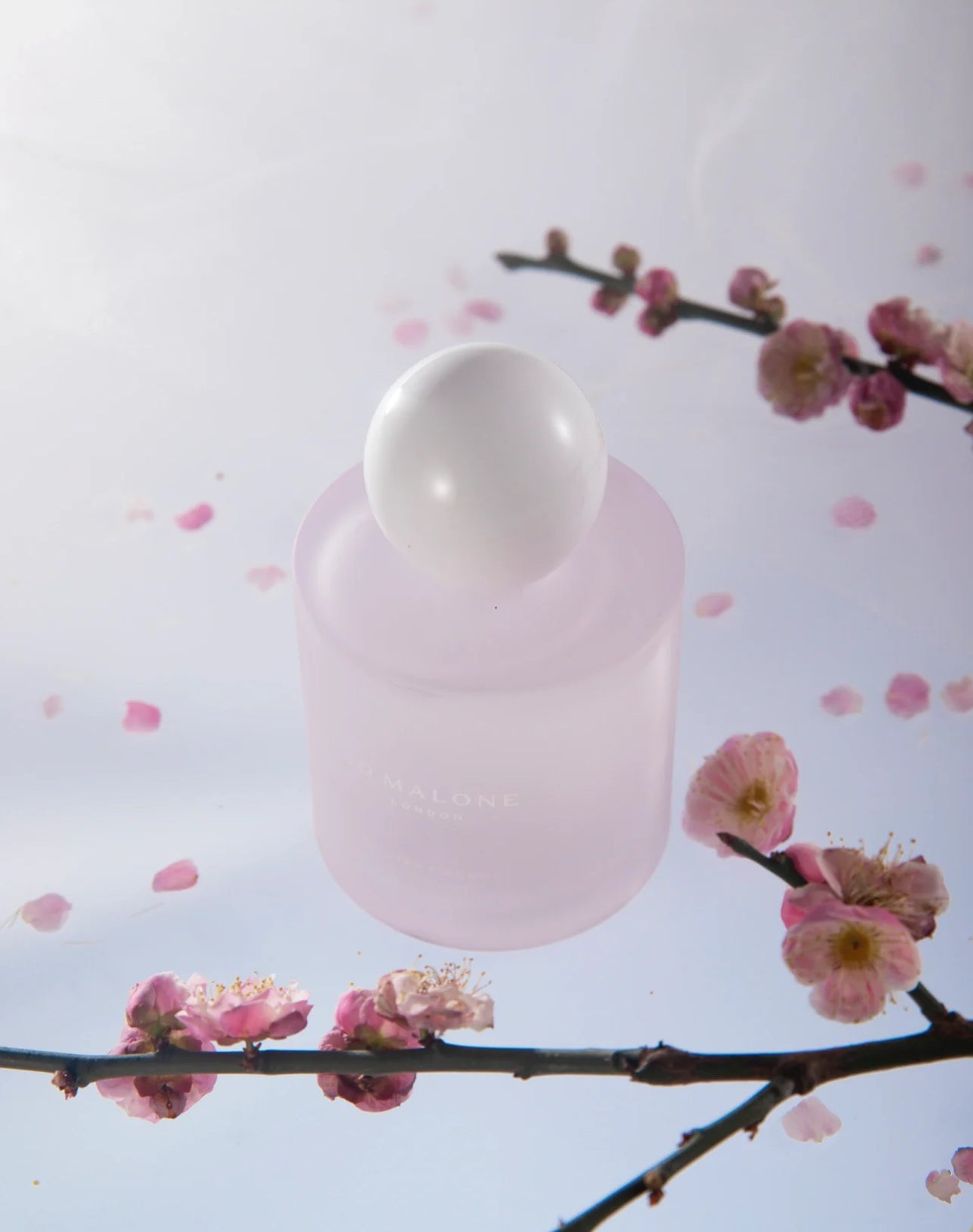 Jomalone Sakura Cherry Blossom Cologne Limited Edition 100ml