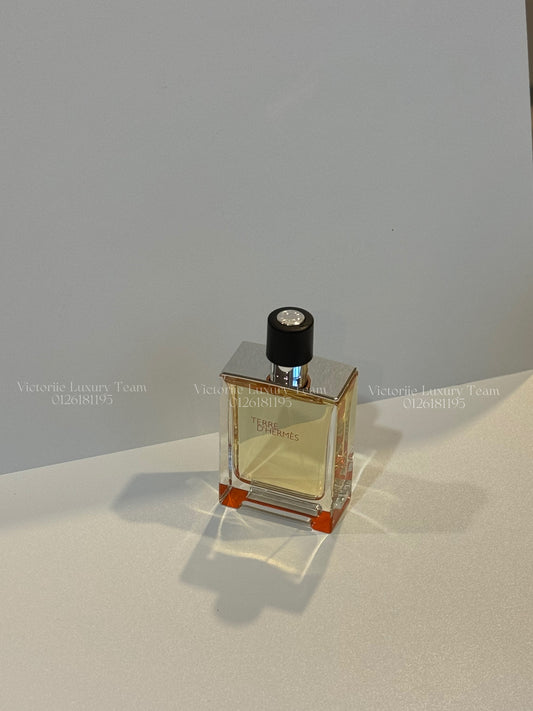 Terre D'Hermes EDT 100ml