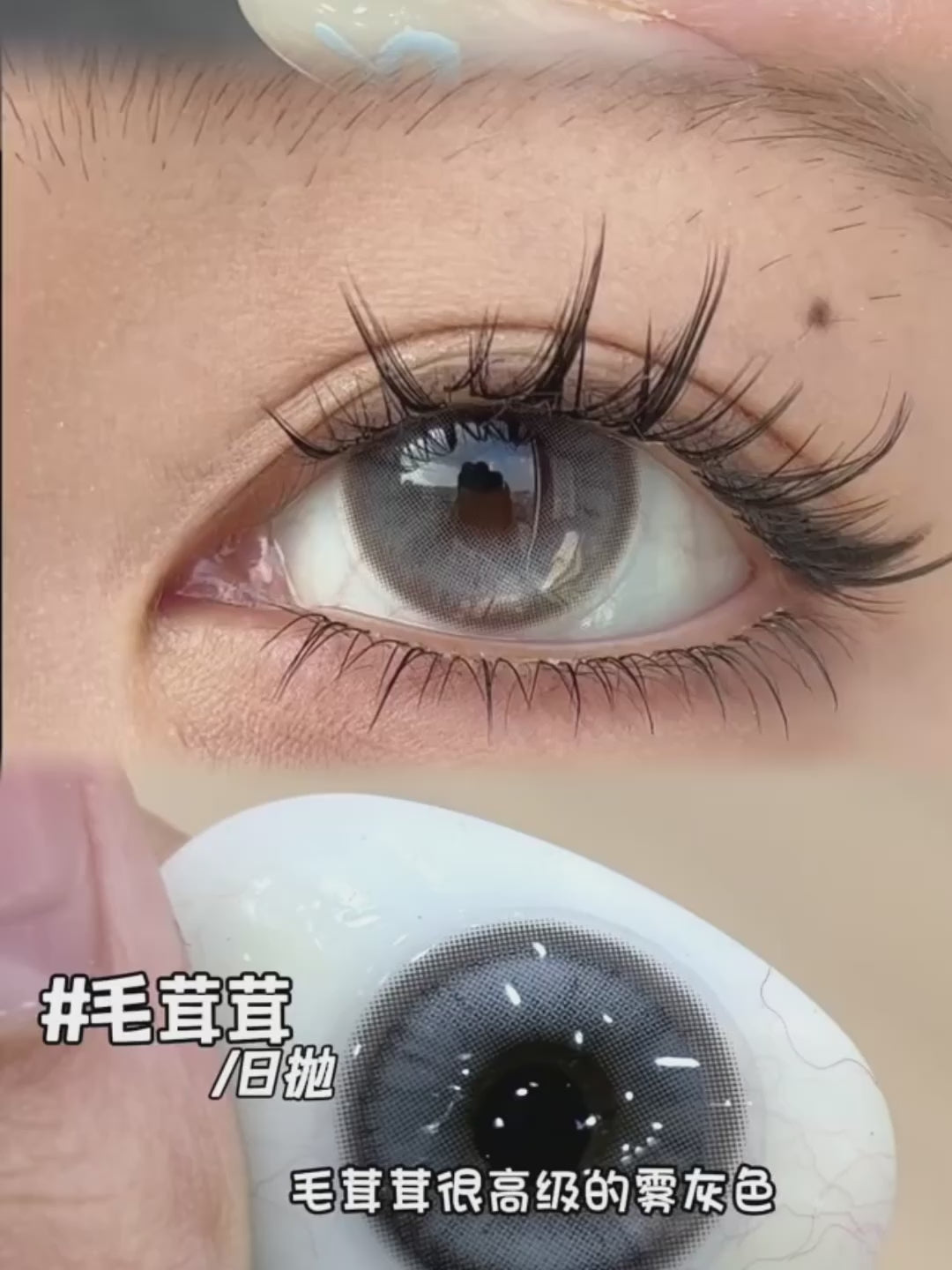 Daily Lens • Mao RongRong 毛茸茸