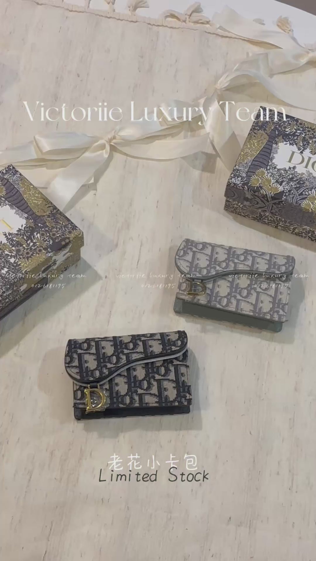 Dior Saddle Card Holder