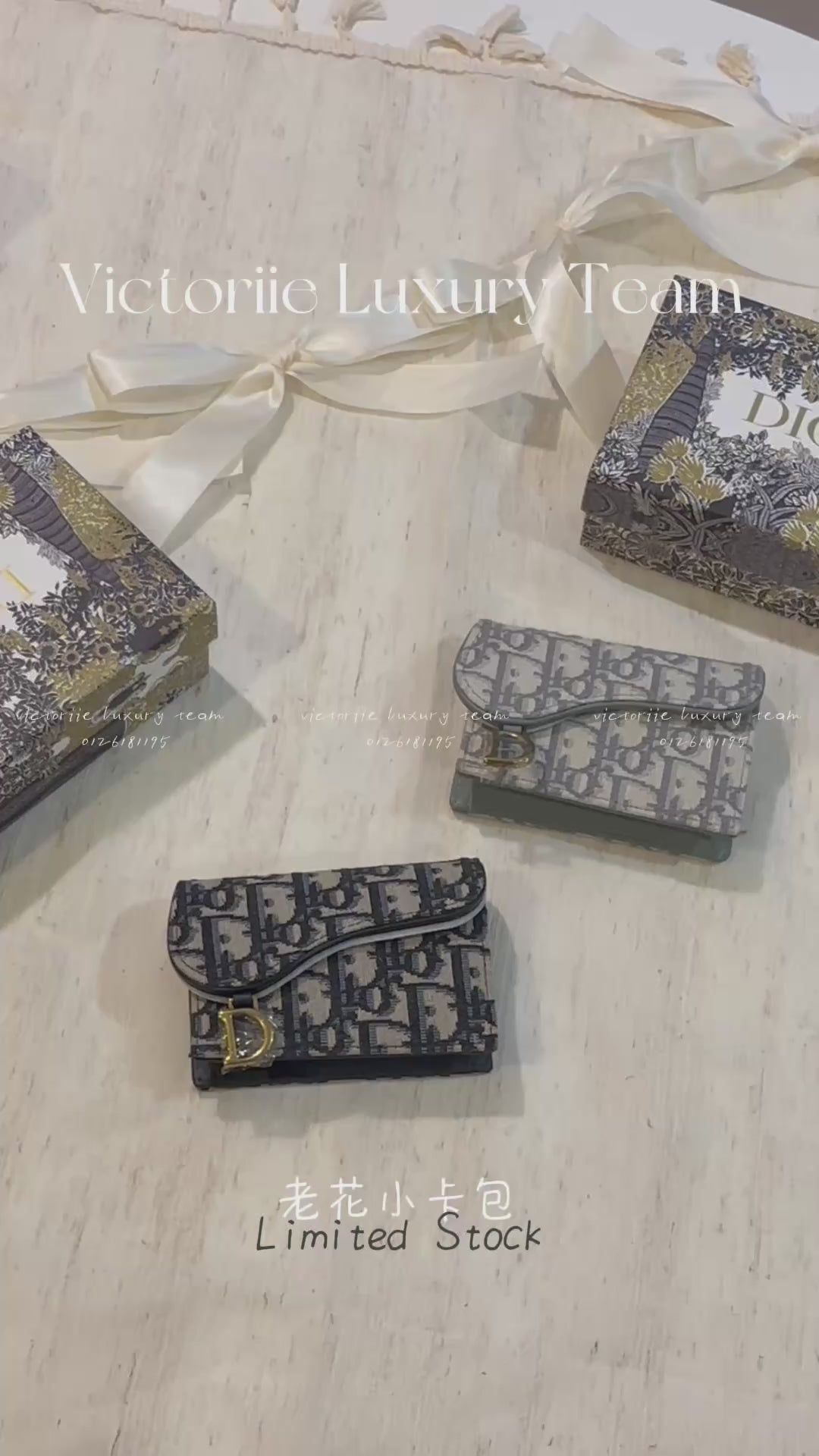 Dior Saddle Card Holder